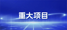 重大项目